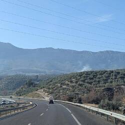 Olivenschnitt wird verbrannt