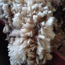 Schafwolle unbehandelt