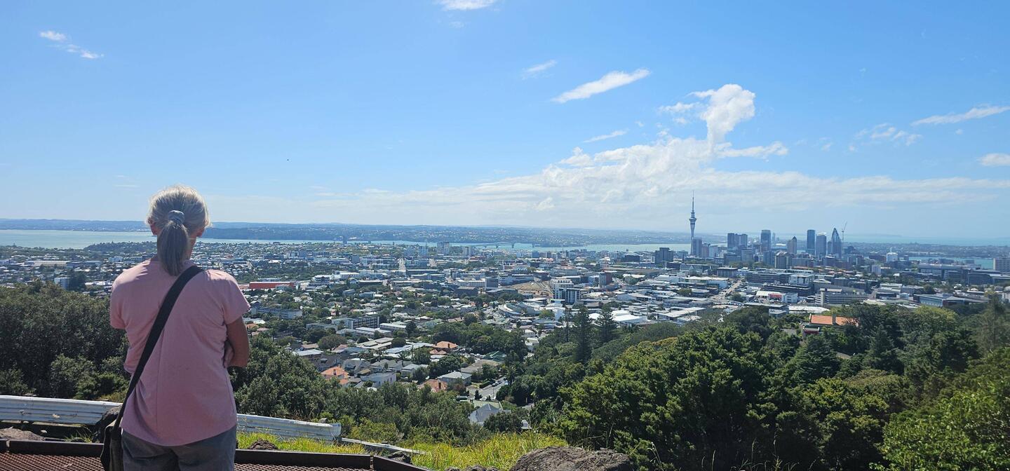 View of Auckland