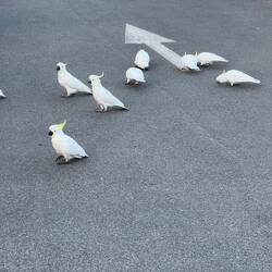 ... Aber das täuscht! 😁😅