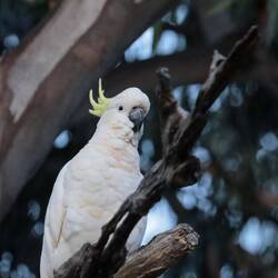 Sie gucken so freundlich....