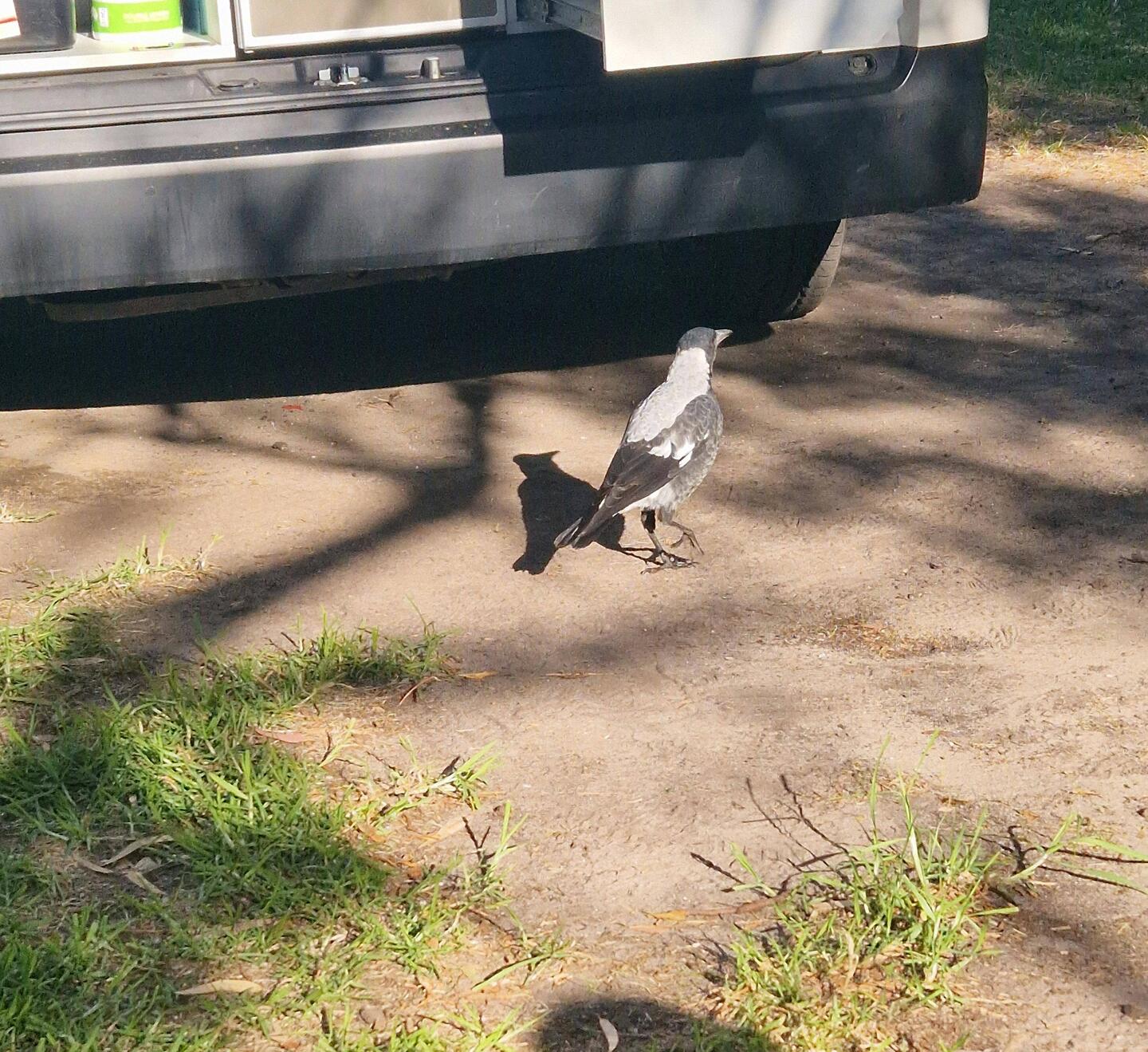 Frühstücksfernsehen