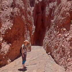 Komoot - Routen. Werden schon irgendwie irgendwo ankommen!