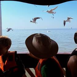 Kids feeding the seagulls