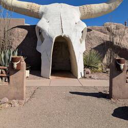 Stopped at the Longhorn Saloon for a cold one