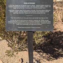 A memorial for a son