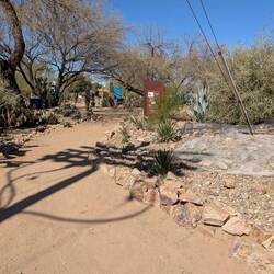Entrance to the desert garden which had many varieties of desert plants everywhere.