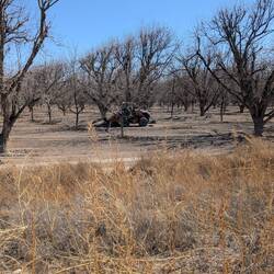 Trenching for underground sprinklers