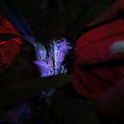 Und kaum war sie weg, waren wir mitten drin...hier ein Skorpion 🦂