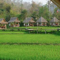 Hier hatte ein Reisbauer die richtige Idee