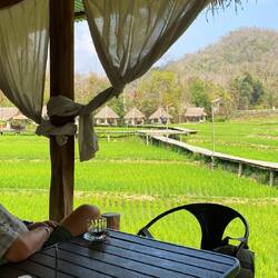 Mittagspause mit Reisgericht