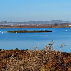 Salinen mit Flamingos