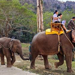 Bei dieser Höhle gibt es auch Elephanten.