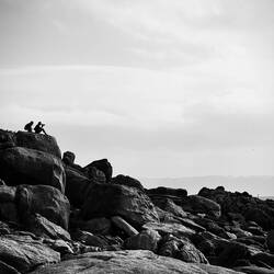 ... und wird fotografiert.