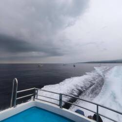 Full-Speed mit 5 Suzuki's.