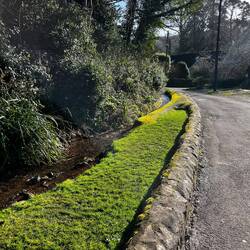 Diverted water for the mill from River Avill