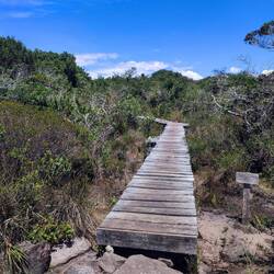 Weg zur Cachoeira da Fumaça