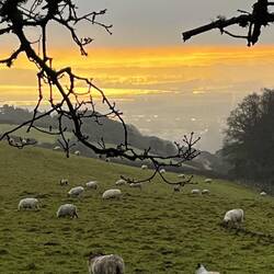 Looking down to Minehead