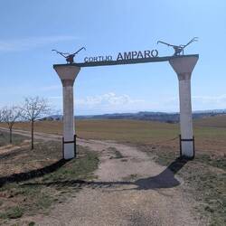 Die Einfahrt zu einem Olivenbauernhof