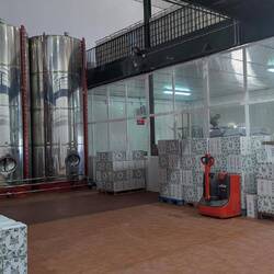 Zum Probieren wird frisch aus dem Tank gezapft