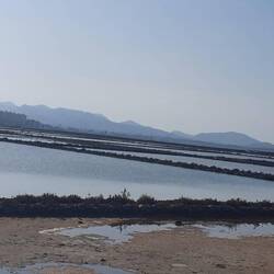 Ehemalige Salinebecken, heut Naturreservat