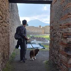 Vesuv im Hintergrund