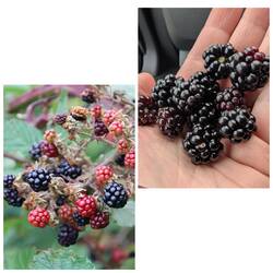 Nicht ohne ein bisschen Wegzehrung