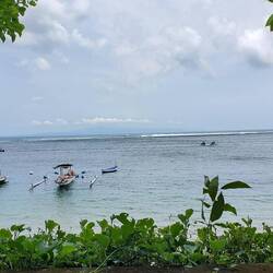 A beautiful placid ocean today!