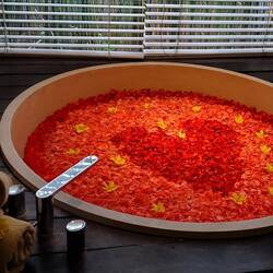 The flower bath!! Look at ALL those petals ... and ... a heart in the middle!!! 🤩