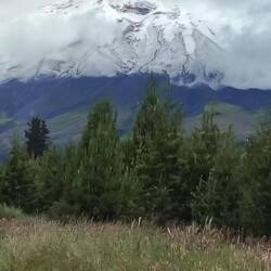 Cotopaxi Vulkan bei der Anfahrt zur Lagune