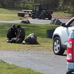 Ungebetene Gäste auf dem Campground; gut , dass es Ranger gibt!