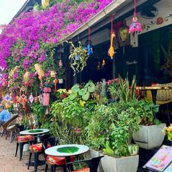 Ist es nicht charmant