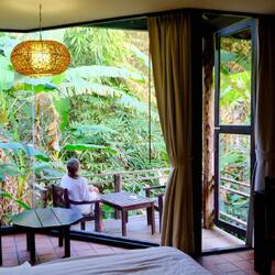 ... mit Blick in den Regenwald