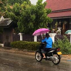 Der erste Regen