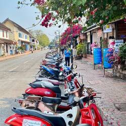 Immer alles in Reih und Glied - es fällt sofort aus wenn ein Tourist geparkt hat.