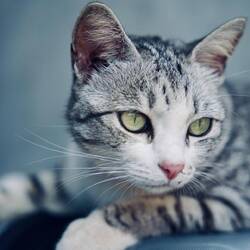 Erik's Lieblibgsbilkd - liebe Grüsse an Nelly und Stefan