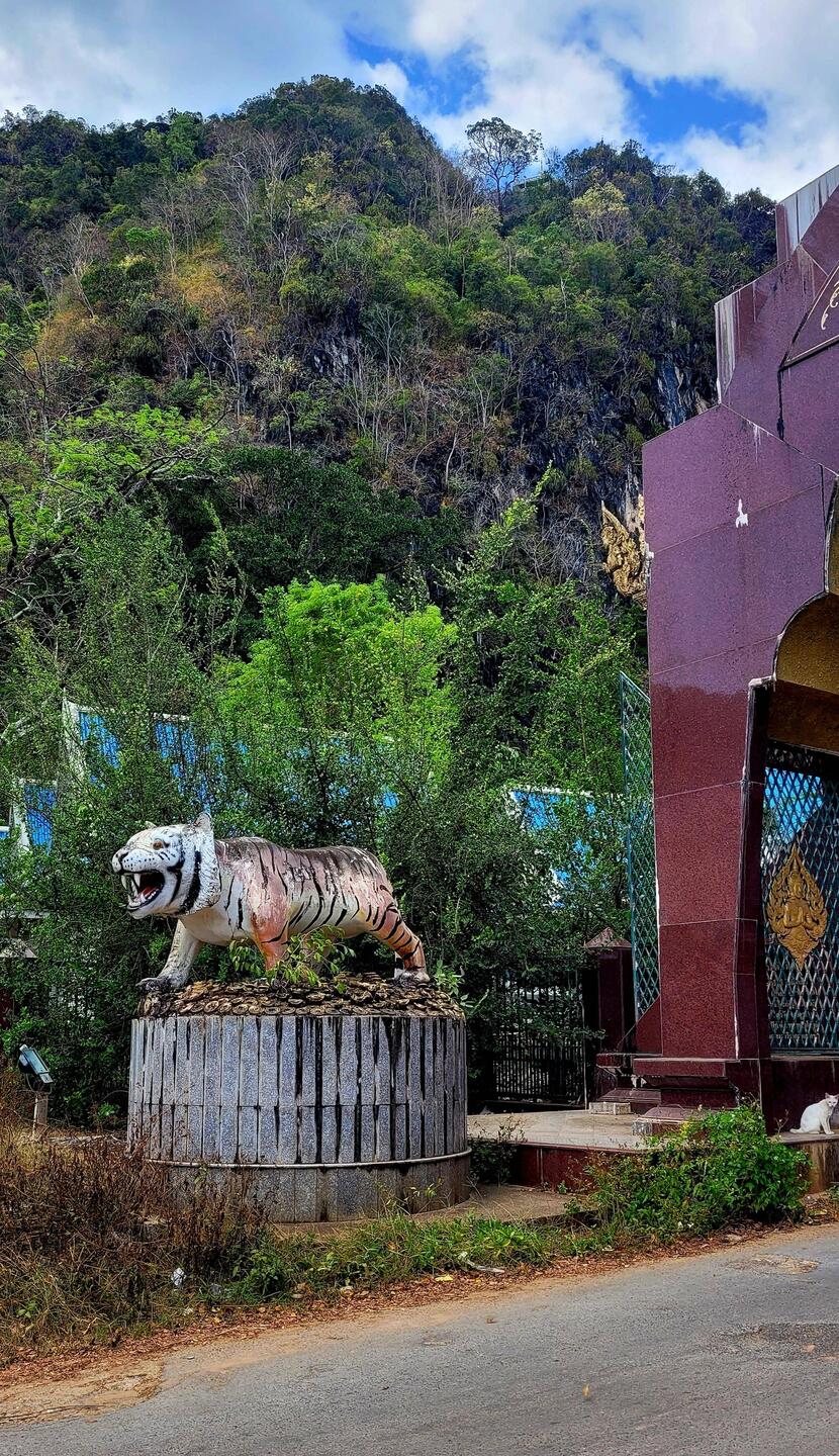 Hallo Tiger!