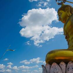 Buddha View - grösster goldener Buddha auf einem Gipfel gelegen