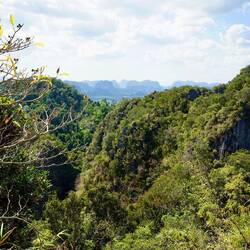 Die grüne Aussicht von oben