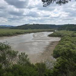 Waitangi River