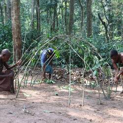 ...während die Frauen kurz vor der Regenzeit die erste Hütte errichten