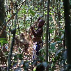 Die Netze werden nach einem speziellen Muster aufgehängt