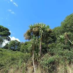 Einfach, trotz der Steigungen, wunderschön