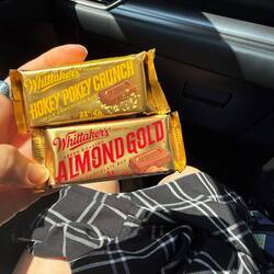 Chocolate tasting #2. Tried milk chocolate but dark chocolate was better