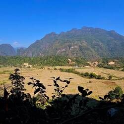 Leider sind die Reisfelder abgeerntet.