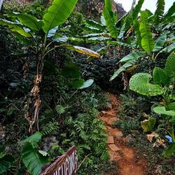 Zum Aussichtspunkt geht es aber hier lang.