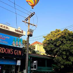 ...fliegen überall umher.