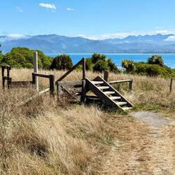 All the hikes have steps to get over the fence instead of a gate. I guess sheep can't climb stairs