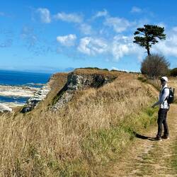 Kaikōura Peninsula Walk