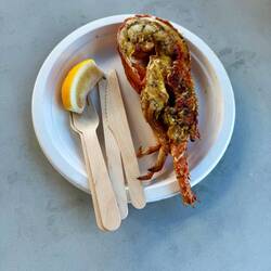 Crayfish aka rock lobster. We noticed they had no pincher claws